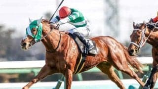 【フラワーC展望】世代最初の牝馬中距離重賞、あの馬に期待したい