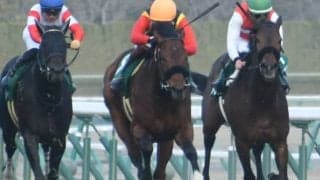 【スプリングS出走馬決定順】フルゲート16頭に17頭の登録　ビゾンテノブファロが除外対象に