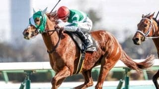 【フラワーC出走馬決定順】フルゲート16頭に22頭　1勝馬の抽選は現時点で11/17