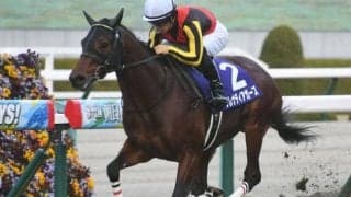【ファルコンS出走馬決定順】フルゲート18頭に19頭の登録　1勝馬の抽選は現時点で5/6