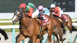 【フィリーズレビュー回顧】シゲルピンクルビー　大物感の気配がする注目のモーリス産駒/栗山求コラム