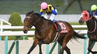 【阪神大賞典 出走馬決定順】14頭登録で除外なし　ユーキャンスマイル・アリストテレスら