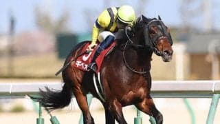 【金鯱賞回顧】ギベオン　母コンテスティッドの能力を存分に発揮した勝利/栗山求コラム