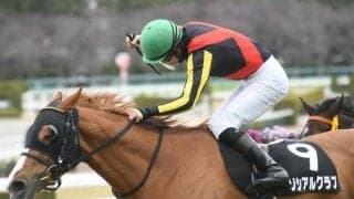 【先週のJRA抹消馬】ブエナビスタの仔ソシアルクラブ、1200m戦から3600m戦まで出走したレイホーロマンスなど