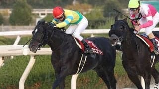 【黒船賞予想】 人馬ともに例年以上の好メンバーが集結！ 混戦模様の一戦を目利きの地元記者はどう見た？/地方競馬レース展望