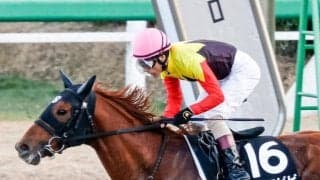 【千葉Sハンデ確定】アポロビビは55kg、ヒロシゲゴールドは57kg