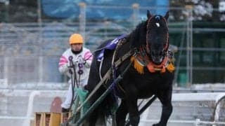 ばんえい記念で引退するオレノココロなど3頭の引退セレモニー実施