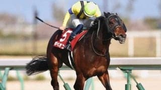 【金鯱賞】売上67億円で大幅アップ　ギベオンがデアリングタクト破る