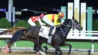 【JRA】ドバイワールドカップデーの馬券発売が決定！