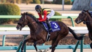 【スプリングS見どころ】ランドオブリバティの巻き返しなるか