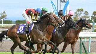 【JRA】阪神・中京競馬場が3月13日から観客入場再開、指定席の事前購入者限定