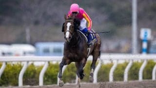 【黒船賞】テイエムサウスダンが8馬身差の圧勝