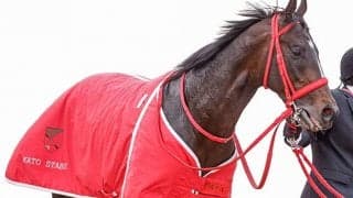 【次走】グラティアスは松山弘平騎手と新コンビで皐月賞へ、2戦2勝の京成杯覇者