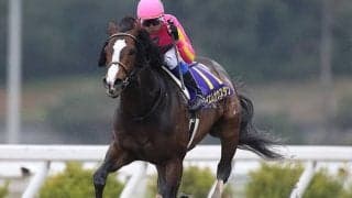 【地方競馬】高知競馬で16億円超の1日売上レコード、従来のレコードを2億円以上更新