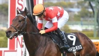 【次走】ゆきやなぎ賞を制したレッドジェネシスは京都新聞杯へ