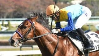 【ファルコンS展望】NHKマイルCに向けても注目の3歳短距離重賞