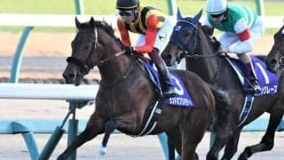 【スプリングS予想オッズ】ランドオブリバティらが人気の中心
