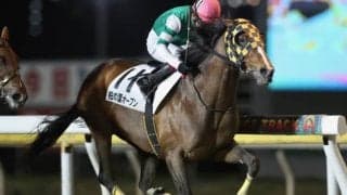 【柏の葉OP】大外枠の9歳アドマイヤゴッドが最内から抜け出して好メンバーの一戦制す！