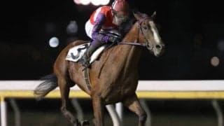 【花見月特別】重賞勝ち馬ギガキングが人気に応えて3勝目！