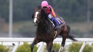 【高知・黒船賞結果】テイエムサウスダンが8馬身差の圧勝！