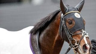 【次走】タイトルホルダーは田辺裕信騎手と新コンビで皐月賞へ