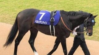 【次走】ペルシアンナイトは引き続き大野拓弥騎手で大阪杯へ