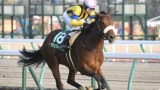 【次走】マジックキャッスルは大野拓弥騎手とのコンビで阪神牝馬Sへ、前走の愛知杯で重賞初制覇