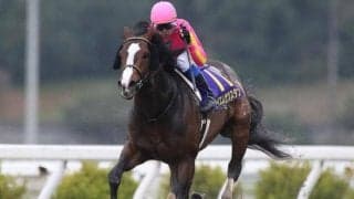 【黒船賞回顧】小回りで能力を発揮したテイエムサウスダン(斎藤修)