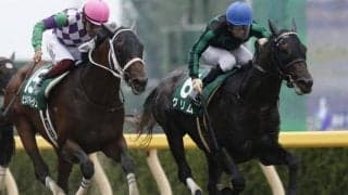 【次走】重賞5勝のグリムはアンタレスSを視野に　黒船賞で約1年半ぶりに復帰