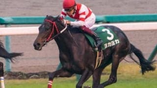 【次走】熊本産馬ヨカヨカは引き続き幸英明騎手とのコンビで桜花賞へ