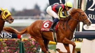 【JRA】パフォーマプロミスが引退、乗馬に　18年日経新春杯など重賞3勝