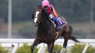 【地方競馬】存在感を増す高知競馬　“生え抜きの有力馬” 登場への期待/田中哲実コラム