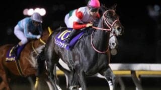 【ダイオライト記念 全着順】1着ダノンファラオ、地方馬最先着は5着リンゾウチャネル