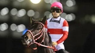 【ダイオライト記念】売得金レコードを2億円近く更新する9億4175万6000円！