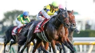 【ドバイターフ】ヴァンドギャルドの鞍上がC.デムーロ騎手からM.バルザローナ騎手に