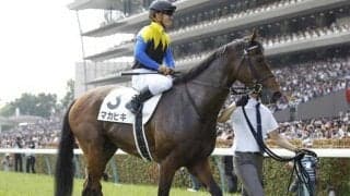 【次走】8歳馬マカヒキは天皇賞・春へ向かう　2016年日本ダービー覇者