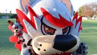 【連載】アルフの早スポインターン！　第１回　アルフって、何者？