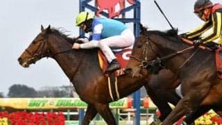 芝3000ｍの阪神大賞典は血統で見る。中長距離の実績から２頭が浮上