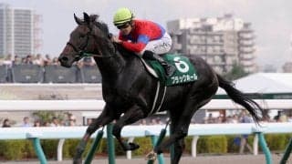 ブラックホールが競走馬登録抹消