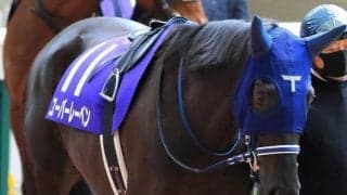 【フラワーC予想】世代上位の能力、ユーバーレーベンに期待