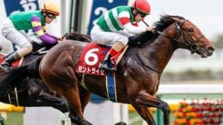 【本日の注目ポイント】中山でフラワーC、中京でファルコンS