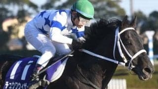 【ドバイワールドC出走予定馬】日本のチュウワウィザード、アメリカのミスティックガイドなど