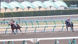 【マーチS】ダート3戦3勝快勝のアメリカンシードは引き続きルメール騎手とコンビ