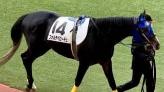 【JRA】土曜中京3Rのフォルテベローチェが出走取消、治療に用いた規制薬物の影響の可能性から