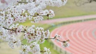 進学＆寮生活で生理が止まった学生　春は要注意、ストレスから起こる無月経の正体