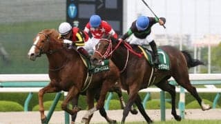 パフォーマプロミスが競走馬登録抹消