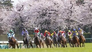 【JRA】中山競馬場は4月3日から観客入場再開、指定席の事前購入者限定