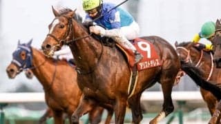 【阪神大賞典 予想】アリストテレスの重賞連勝に期待