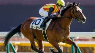 【スプリングS予想】未勝利戦の内容が秀逸なボーデンに期待