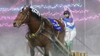 【ばんえい・イレネー記念結果】オーシャンウイナーが世代王者に輝く